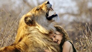 ライオンと女の子